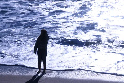 DSC_0413 (Large).JPG